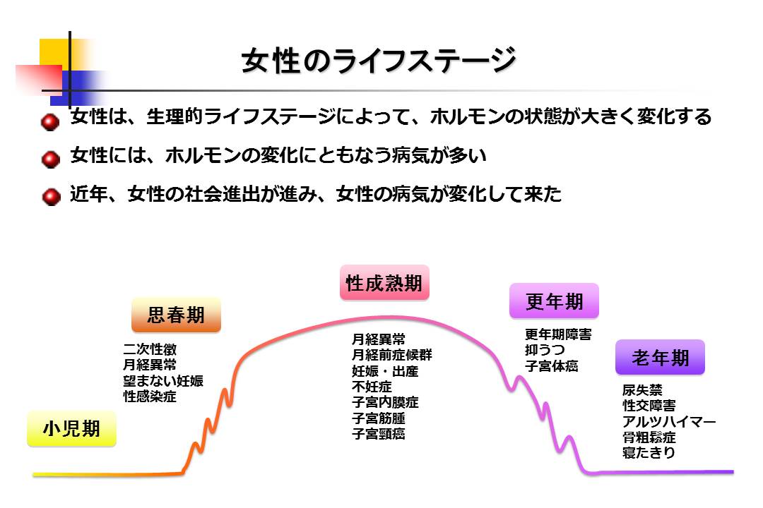 女性のライフサイクルと病気―Ⅱ | 吉村やすのり 生命の環境研究所