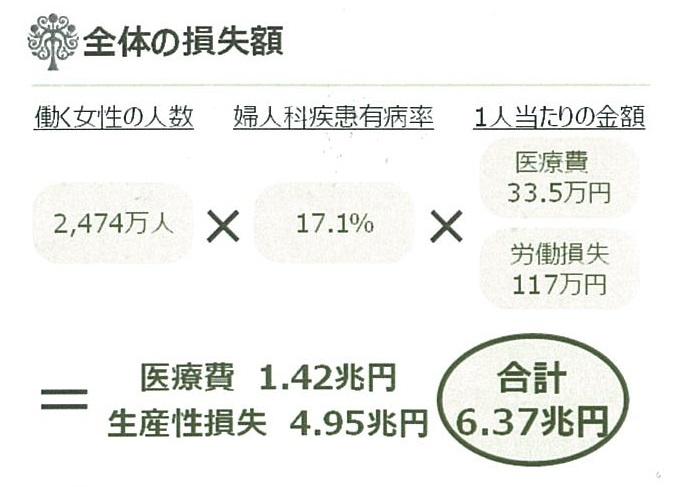 婦人科疾患による経済的損失 | 吉村やすのり 生命の環境研究所